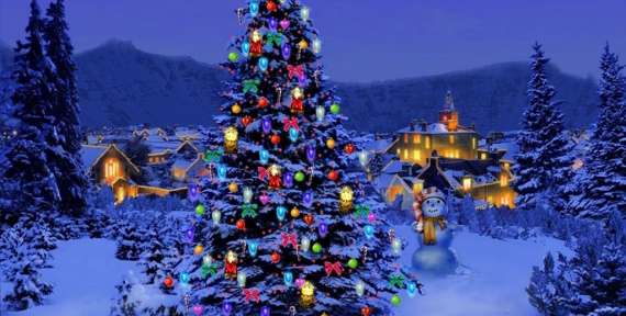 Christmas Tree TLC