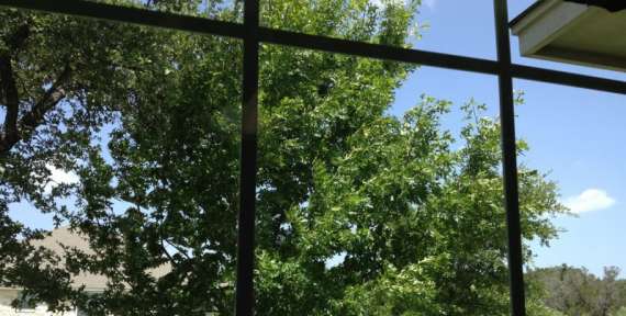 Benefits of Having Clean Windows