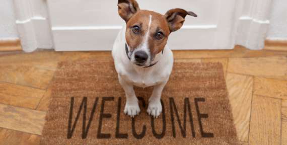Why door mats are essential