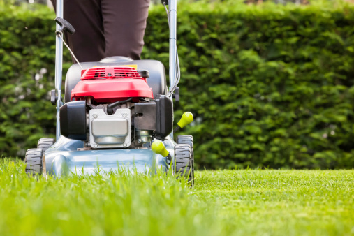 Outdoor Cleaning Season