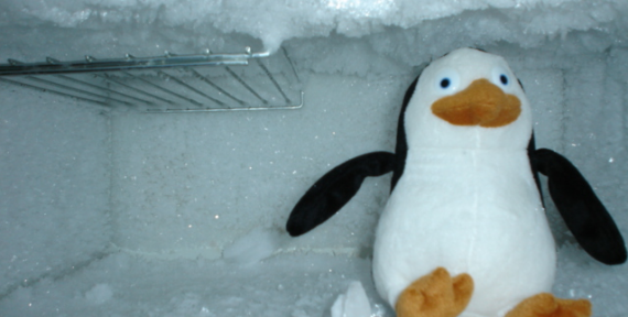 Defrost Your Freezer Efficiently